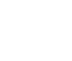 Jeb Legend